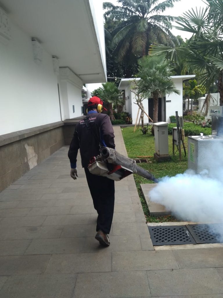 jasa pembasmi nyamuk
