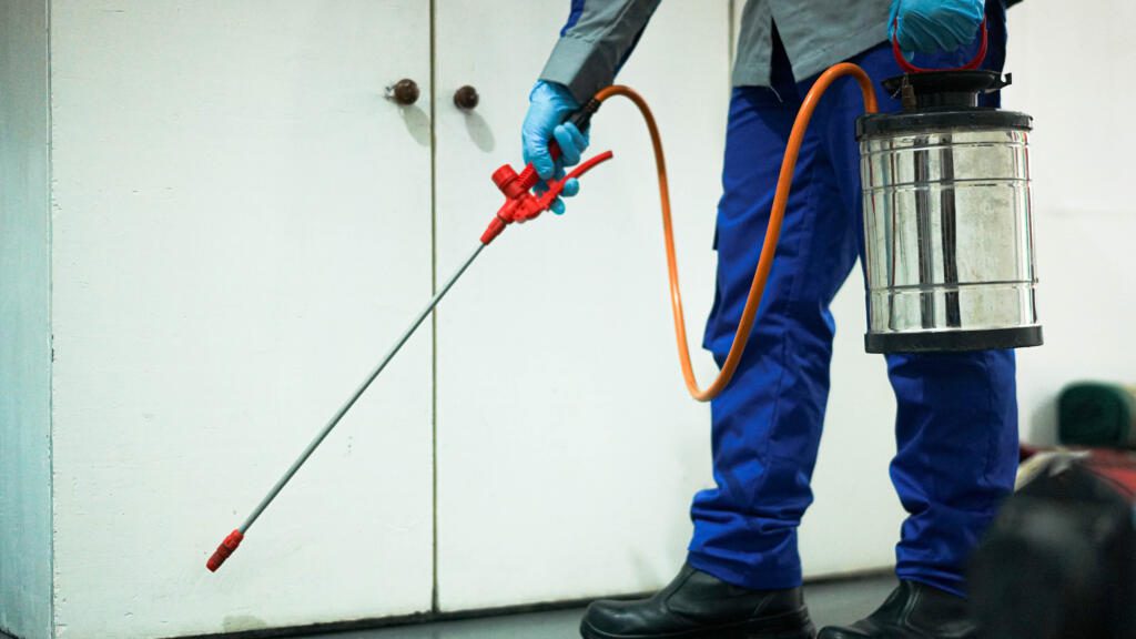 Hygent pembasmi hama modern untuk pest control, anti rayap, fumigasi dan disinfektan