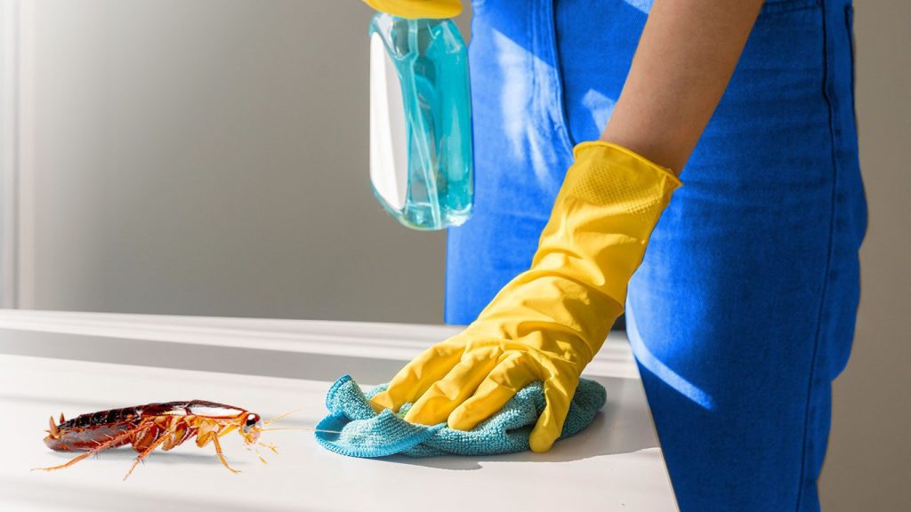 jasa cleaning service